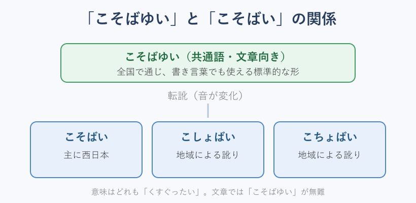 こそばゆいと方言こそばいの関係図
